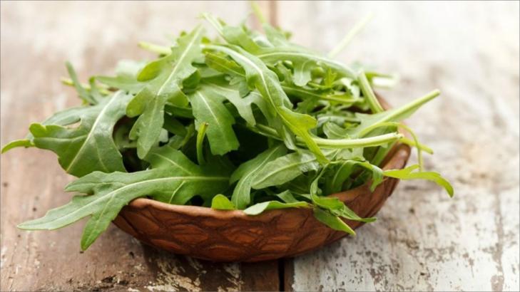 الجرجير الجرجير