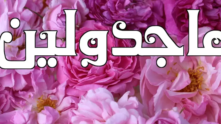 معنى اسم مجدولين وصفاتها وعيوبها وشخصيتها معنى اسم مجدولين وصفاتها وعيوبها وشخصيتها