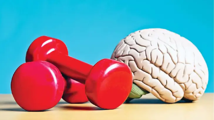 دور التمرينات الرياضية في تحسين الإنتاجية والتركيز