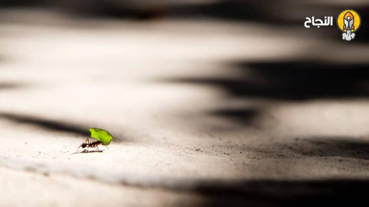 أهمية اللطف مع الأشخاص الذين تقسو عليهم الحياة