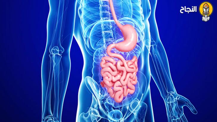 جرثومة المعدة: الأعراض وطرق العلاج جرثومة المعدة: الأعراض وطرق العلاج