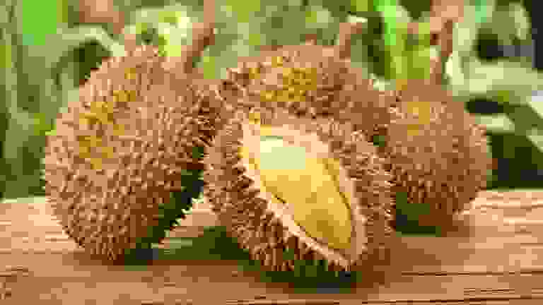 دوريان (Durian)