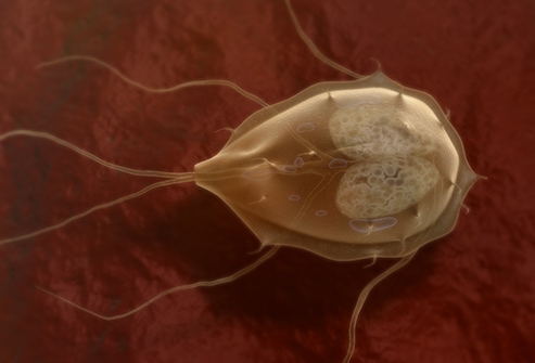 مشاكل الجهاز الهضمي