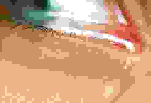 كيف يمكن أن تحدث الإصابة بفيروس الإيبولا؟