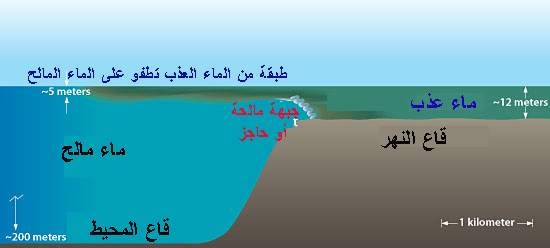 نهر الفرايزر 