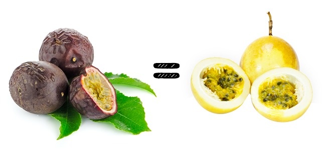 زهرة الآلام