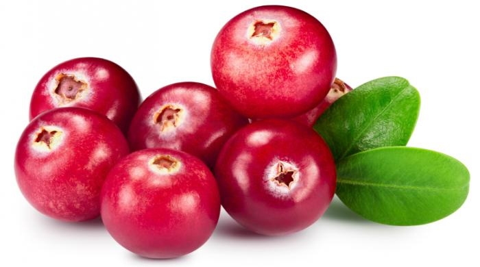 التوت البري (Cranberries)