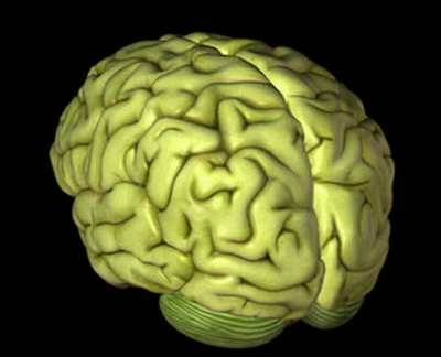 الشذوذ الجنسي الشذوذ الجنسي