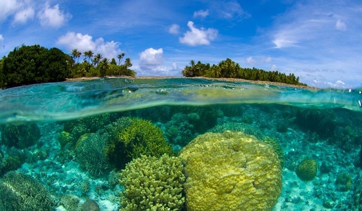 جزر مارشال (181 كيلومتراً مربعاً)