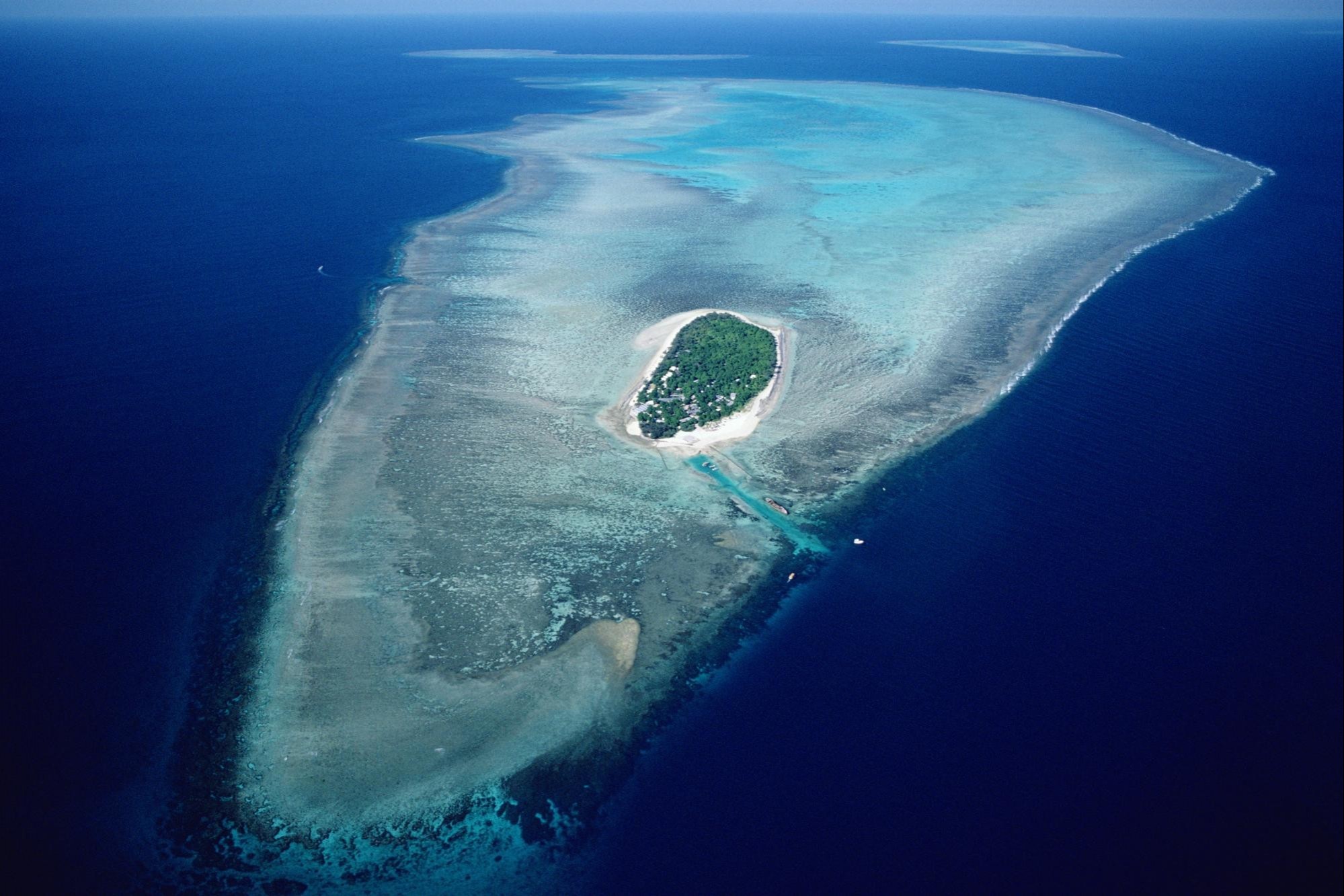جزيرة الحاجز المرجاني