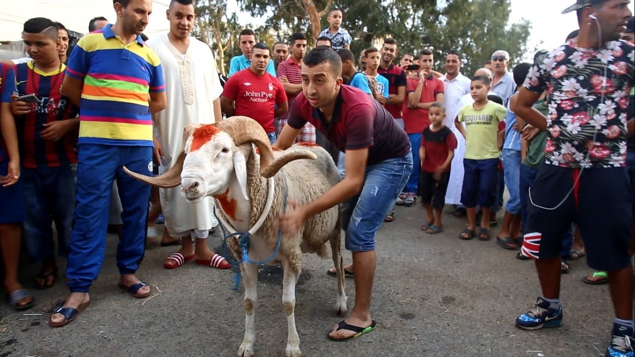 عيد الأضحى في الجزائر